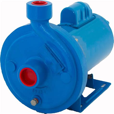 centrifugal water pump 1hp|goulds 1 hp irrigation pump.